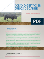 Proceso Digestivo en Vacunos de Carne