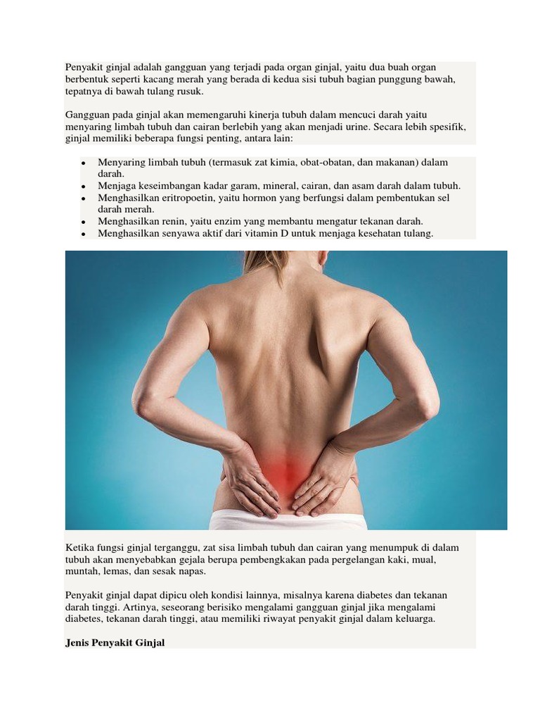 Download 72 Gambar Ginjal Dalam Tubuh Terbaik HD