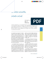 Fiebre Amarilla PDF