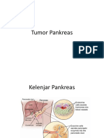 Tumor Pankreasdr - Tehar