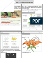 les activités - Chapitre 1 - La reproduction sexuée des plantes à fleurs.pdf