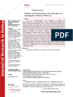 Biological activity of biobras and Pectimorf-6 in each of the phases of micropropagation of banana (Musa sp.)