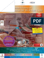 Flyer Dec 17 2016 Wound Care