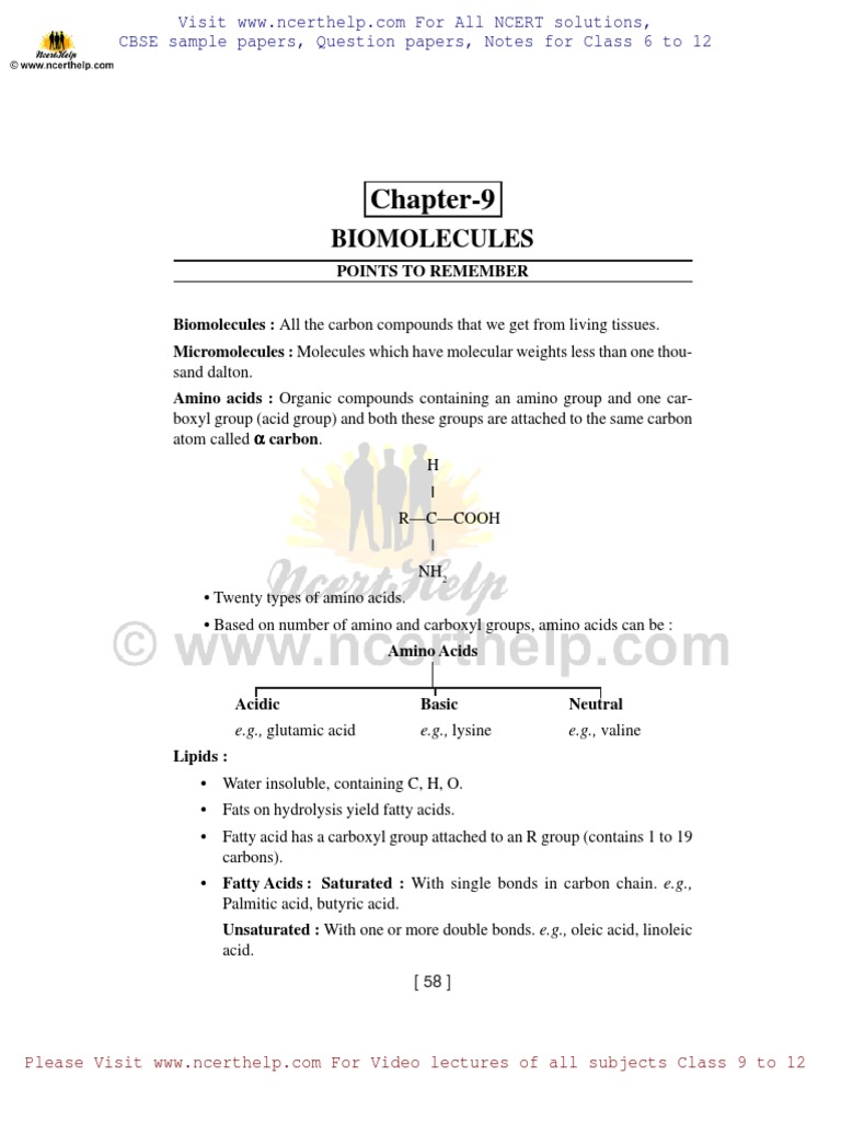 Biology Notes For Class 11 H Chapter | PDF | Cofactor (Biochemistry ...