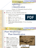 Plant Morphology - Plant Identification