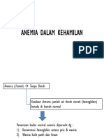 PDF-Anemia-Dalam-Kehamilan (1).pdf