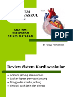 ANATOMI SISTEM KARDIOVASKULAR.ppt