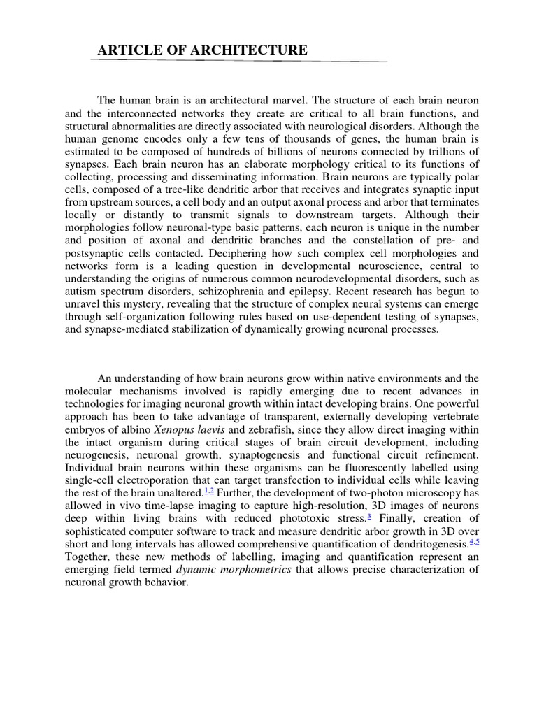 Article of Architecture English | PDF | Neural Development | Brain