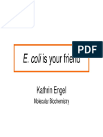 E. Coli Is Your Friend: Kathrin Engel