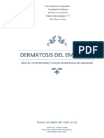 Dermatosis del embarazo: PUPPE y su importancia en la salud fetal