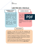 Els Projectes de L'escola 17-18