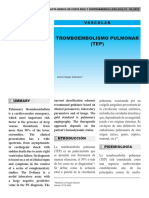 Diagnóstico del tromboembolismo pulmonar (TEP