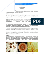 penicilium.pdf