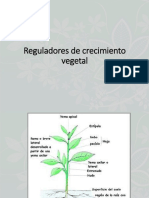 Reguladores de Crecimiento