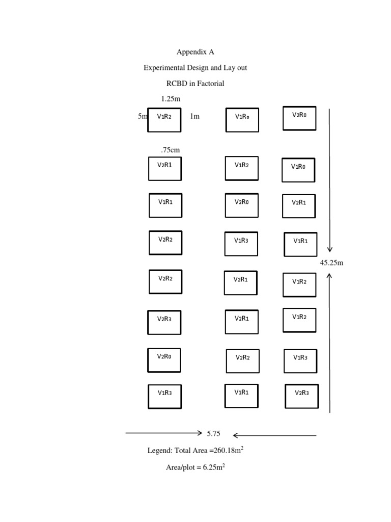RCBD Factorial Design Layout Guide | PDF | Computers