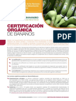 Certificacion Organica de Bananos - Fao