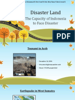 Disaster Land: The Capacity of Indonesia To Face Disaster