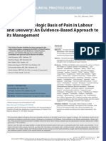 No. 355-Physiologic Basis of Pain in Labour and Delivery: An Evidence-Based Approach To Its Management