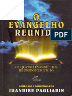 204571656-O-Evangelho-Reunido-Juanribe-Pagliarin.pdf
