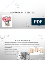 18. Neuroplasticitatea - Dr. Virlan Doina