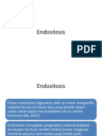 Endositosis Proses