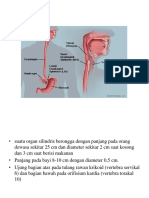 Anatomi Esofagus