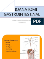 Radioanatomi Gi