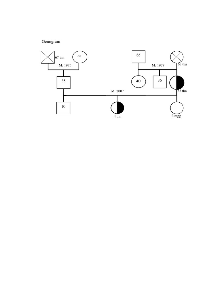 Understanding Genograms and Their Use | PDF
