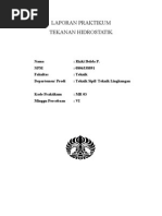 Download Laporan Tekanan Hidrostatik by Theresia Lumban Gaol SN37469769 doc pdf