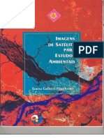 LIVRO - Imagens de Satélites para Estudos Ambientais.pdf