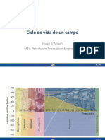 Ciclo de Vida de Un Campo