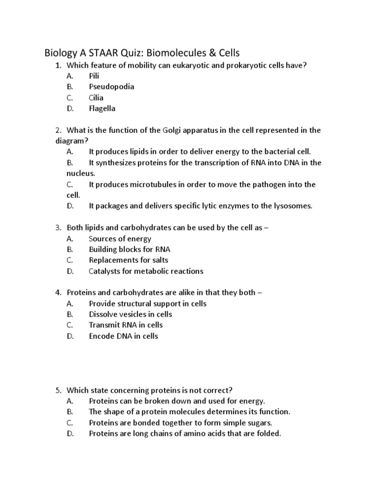 Biology Staar Quiz Biomol PDF Cell (Biology) Proteins