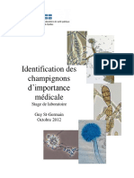 Identification Champignons Importance Medicale PDF