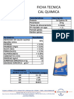 FT AMERICAN FINISH Cal Química.