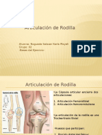 Articulacion Rodilla