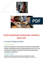 Teori Meridian Kandung Empedu Dan Hati