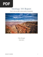 Geology 101 Report: Sed Et Lacus Quis Enim Mattis Nonummy