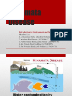 Minamata Disease: Introduction To Environment and Technology
