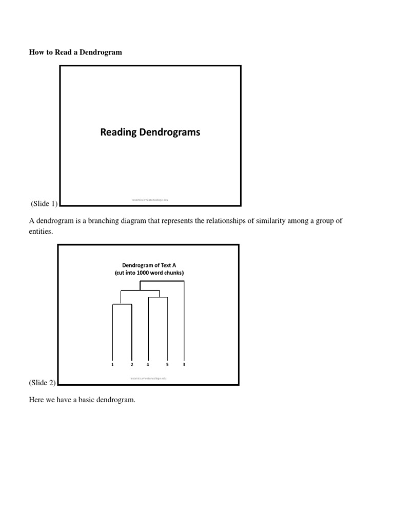 How To Read A Dendrogram Web Ready PDF | PDF