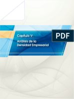 densidad empresarial.pdf