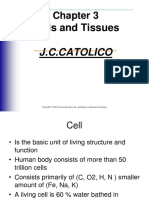 Cells and Tissues: J.C.Catolico