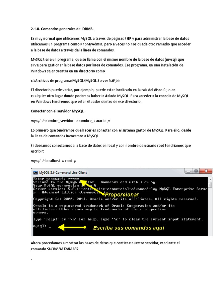 Simulador de comandos de MySQL DBMS | PDF | Mi sql | SQL