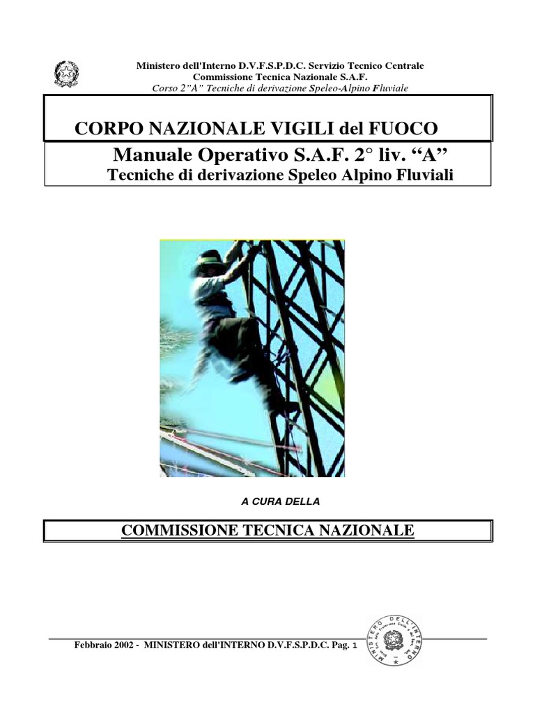 Manuale Saf 2a | PDF
