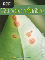 cancro cítrico