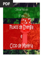 microsoft-powerpoint-fluxo-de-energia-e-ciclos-de-materia-modo-de-compatibilidade.pdf