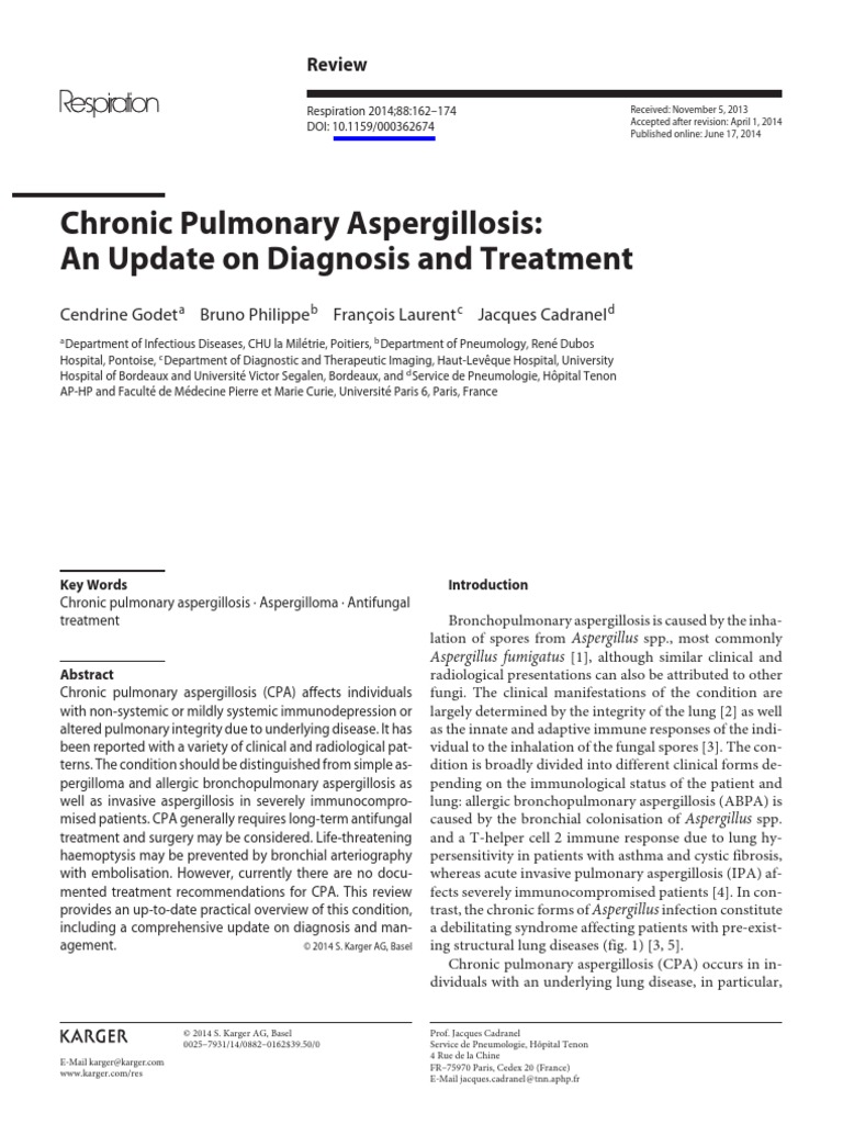 Chronic Pulmonary Aspergillosis An Updated On Diagnosis and Treatment ...