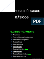 Principios Cirurgicos Basicos Graduacao PDF