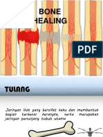 Bone Healing 