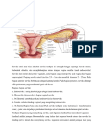 Anatomi Dan Histologi Serviks