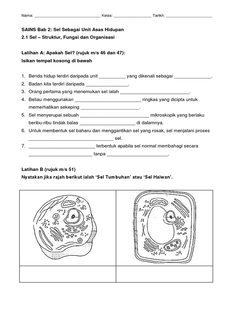 Latihan Bab 2 Sel Pdf